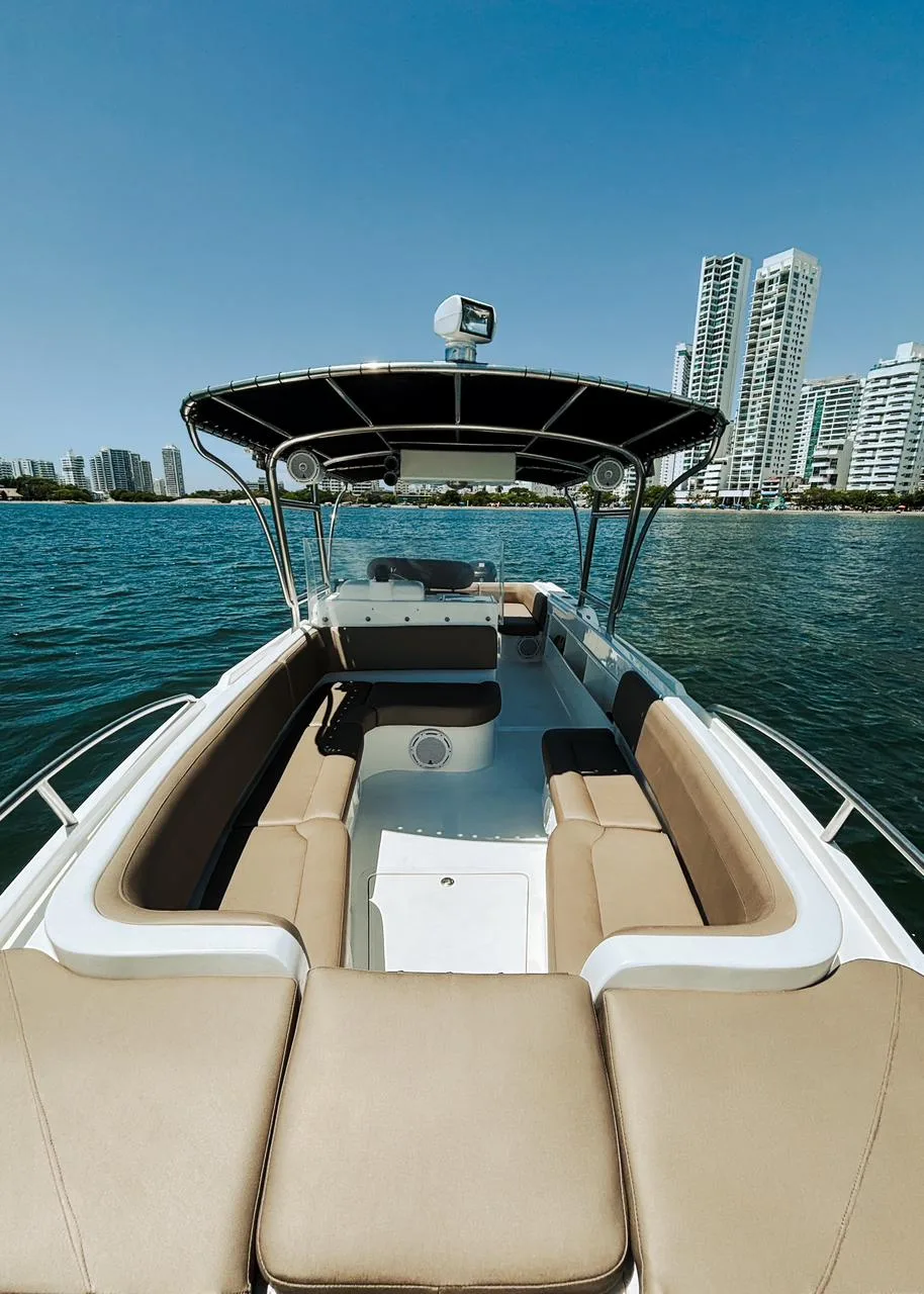 31ft Boat for Sale in Cartagena – Great for Charters / Investment Opportunity 🚤