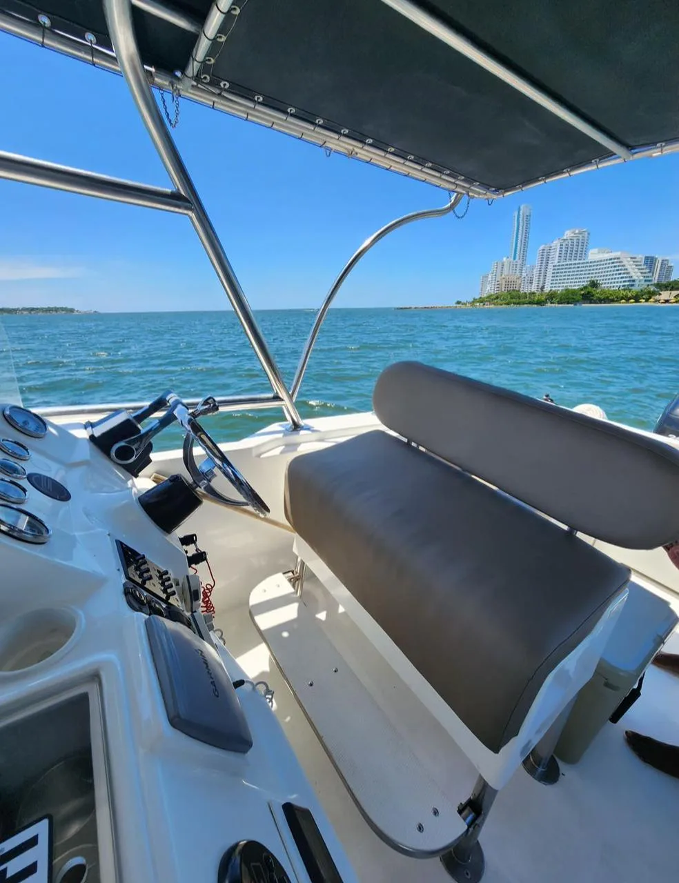 31ft Boat for Sale in Cartagena – Great for Charters / Investment Opportunity 🚤