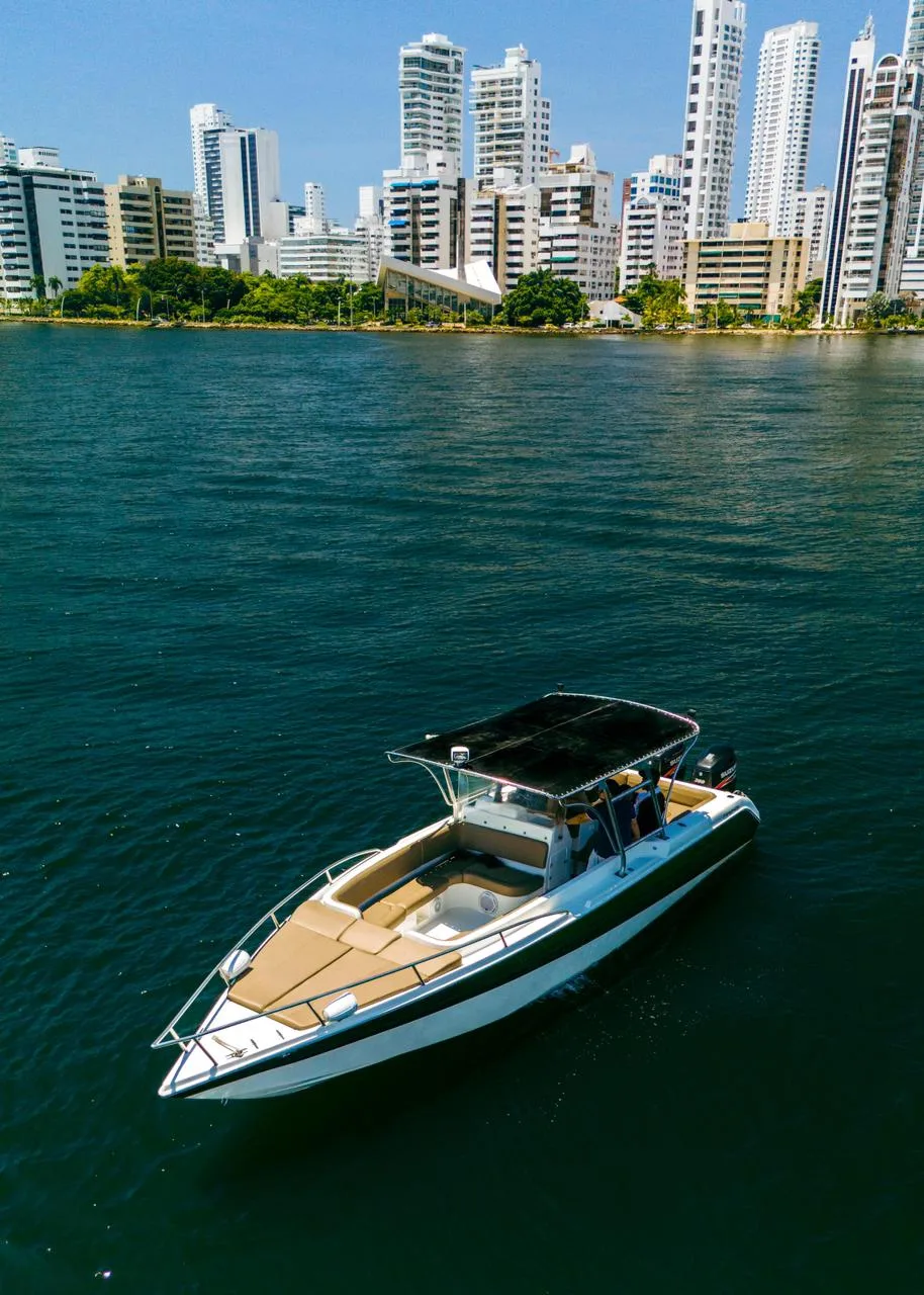 31ft Boat for Sale in Cartagena – Great for Charters / Investment Opportunity 🚤