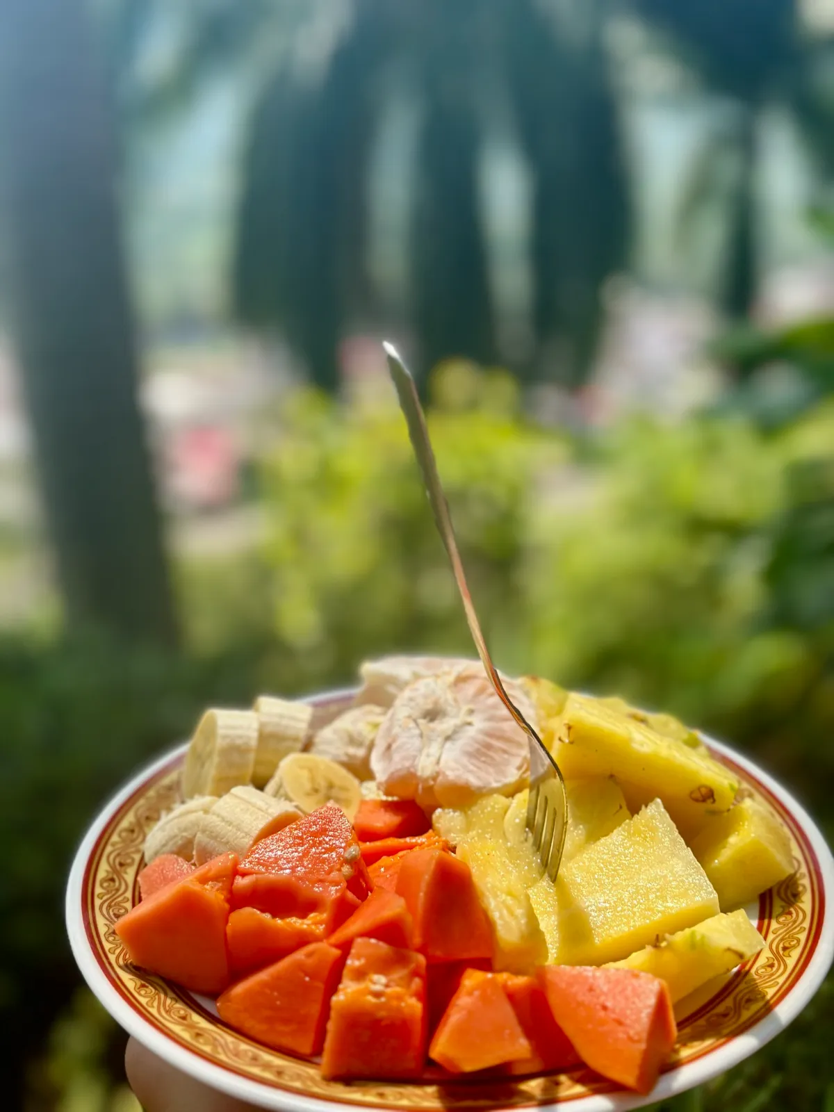 🌴 Private Tropical Estate in Colombia’s Coffee Region — Perfect for Getaways, Retreats & Events ✨