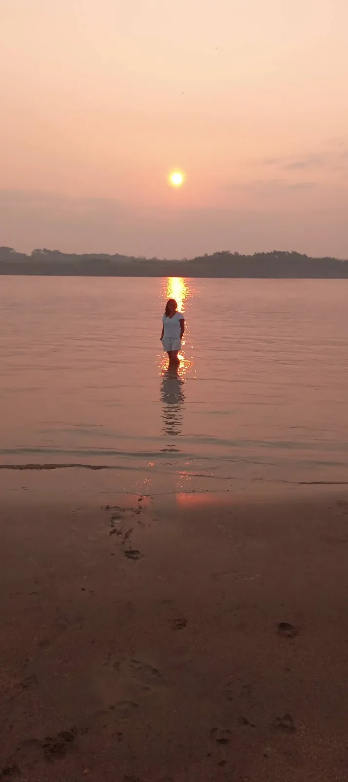 🌿 Amazon Eco-Lodges for Sale – Established Tourism Business Near Leticia