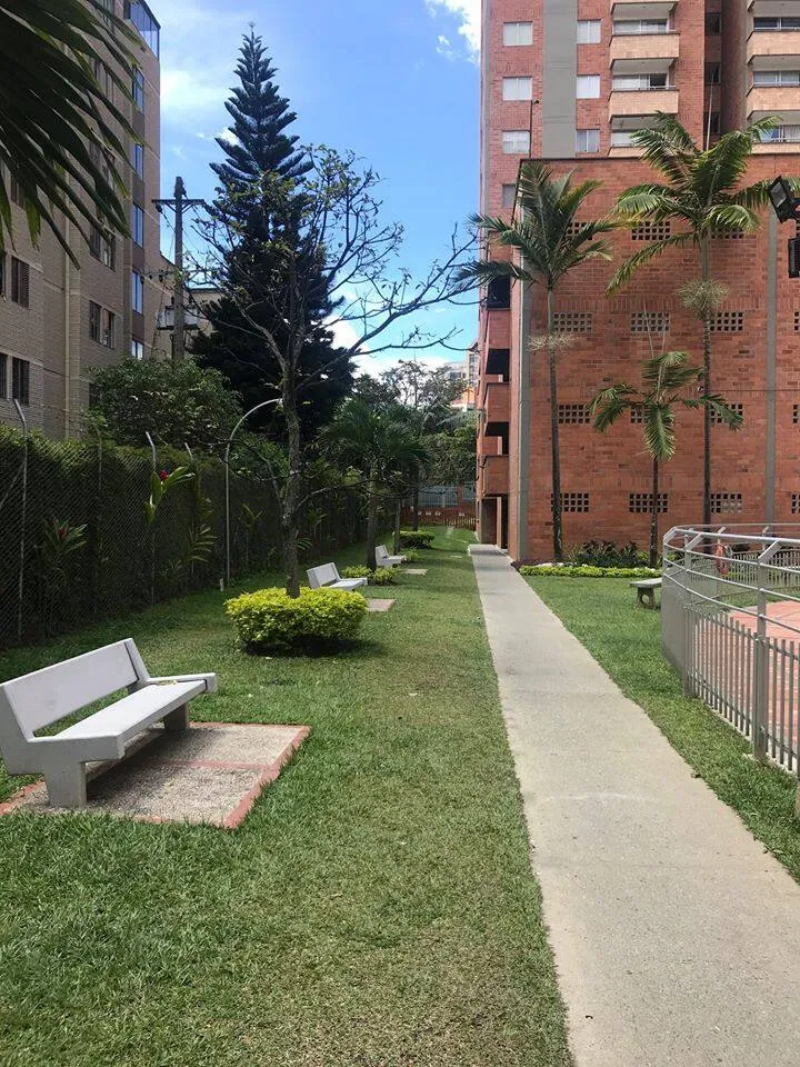 ROOMMATE WANTED (FEMALE) who loves kittens.📅  Available from April 19  through May 30