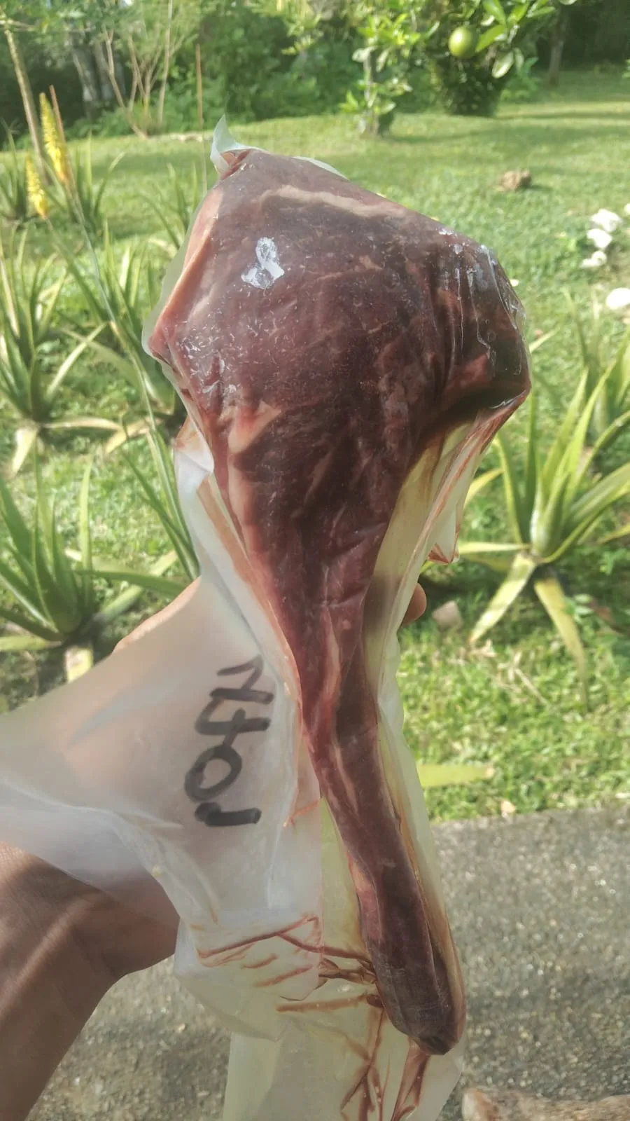 🌱🥩 Organic Farm Delivery Medellín | Meats, Eggs, Superfoods & More 🚚