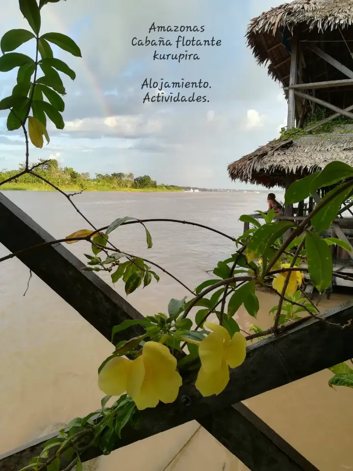 🌿 Amazon Eco-Lodges for Sale – Established Tourism Business Near Leticia