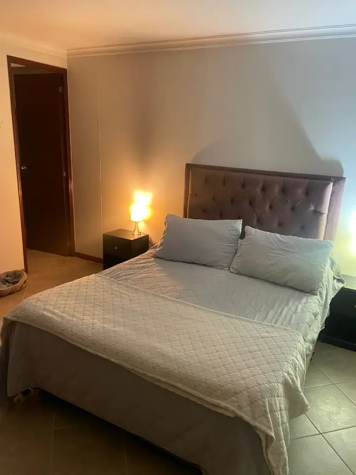 ROOMMATE WANTED (FEMALE) who loves kittens.📅  Available from April 19  through May 30