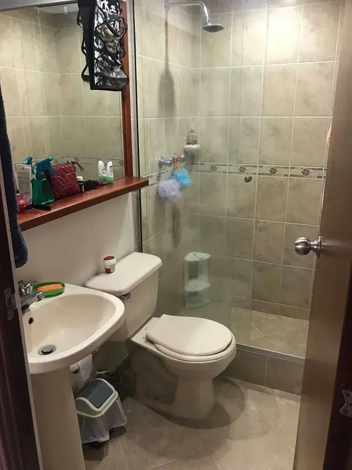 ROOMMATE WANTED (FEMALE) who loves kittens.📅  Available from April 19  through May 30