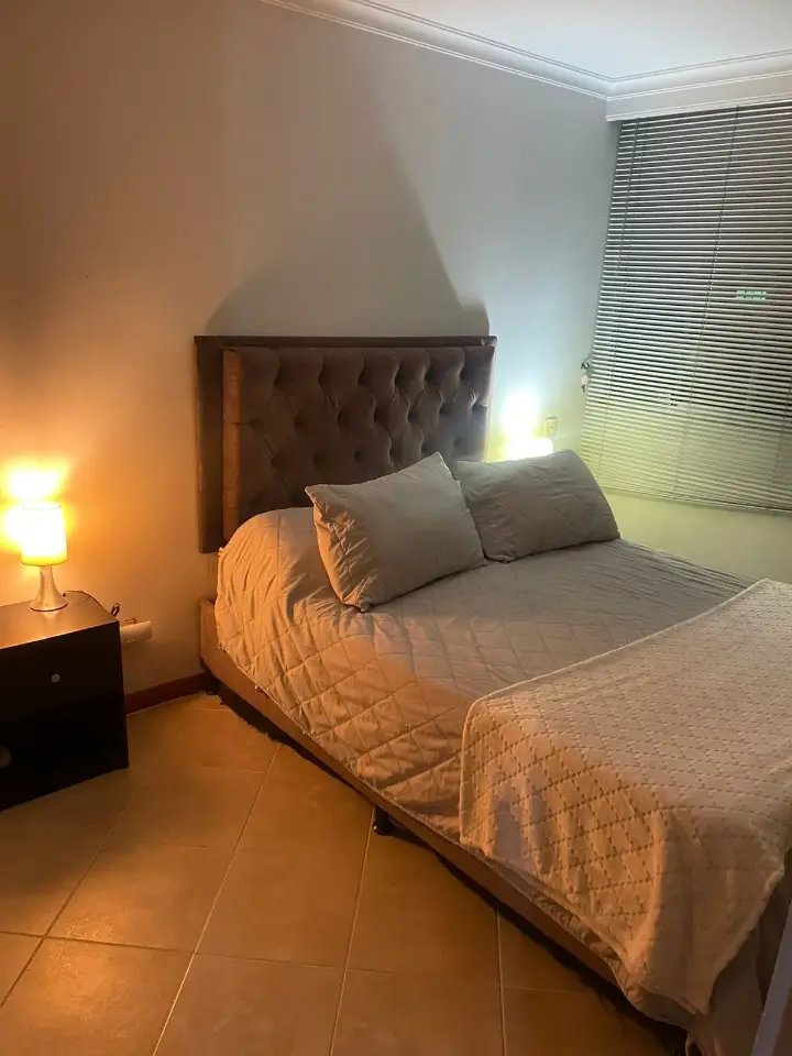 ROOMMATE WANTED (FEMALE) who loves kittens.📅  Available from April 19  through May 30