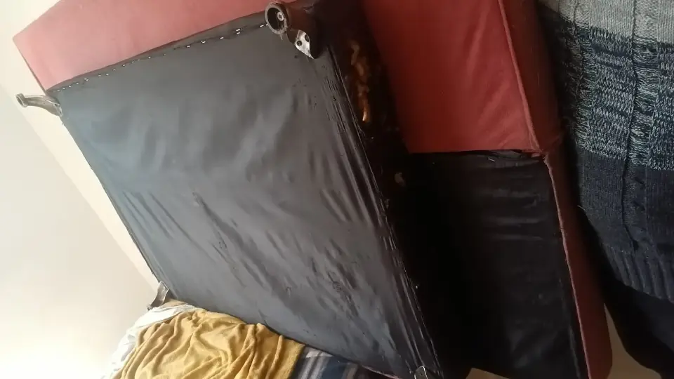 Sofa Bed